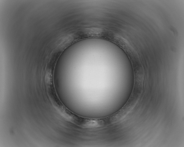 X0000110950083200906261329