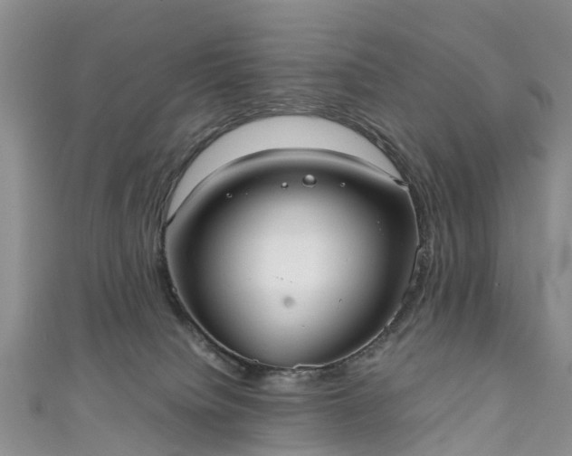 X0000110950084200906261329