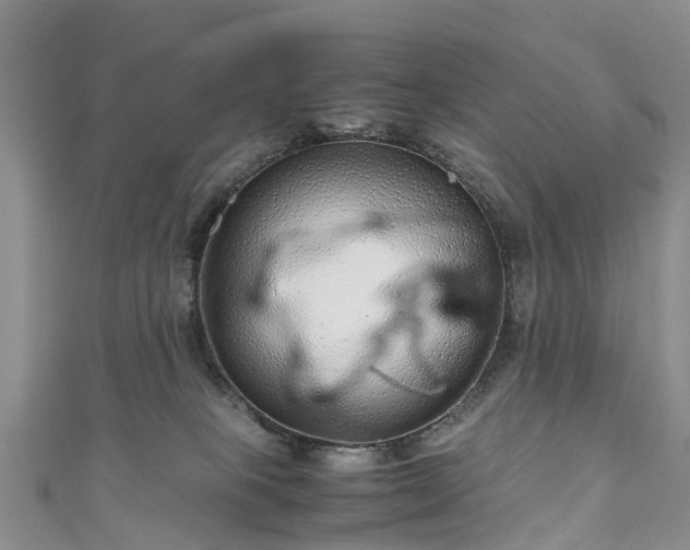 X0000110950085200906261329