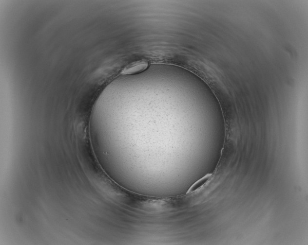 X0000110950086200906261329