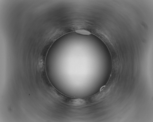 X0000110950087200906261329