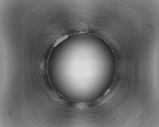 X0000110950088200906261329