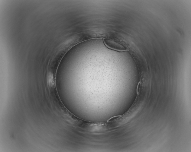 X0000110950089200906261330