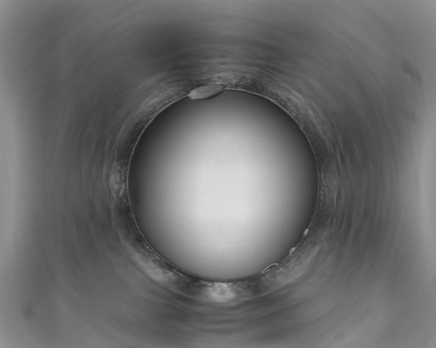 X0000110950091200906261330