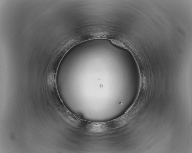 X0000110950093200906261330