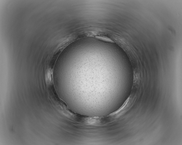 X0000110950094200906261330