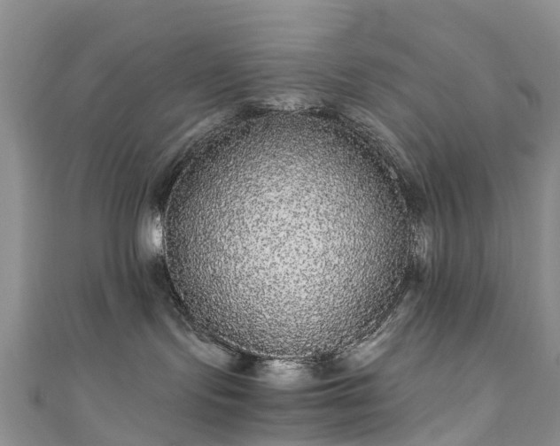 X0000110950095200906261330