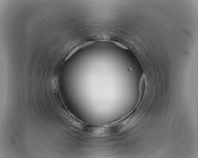 X0000110950096200906261330