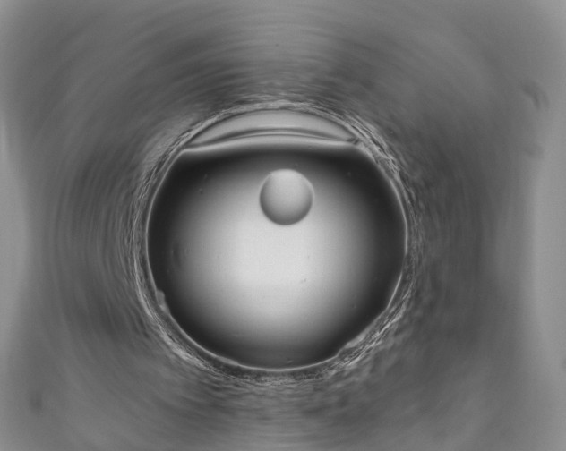 X0000110950097200906261329