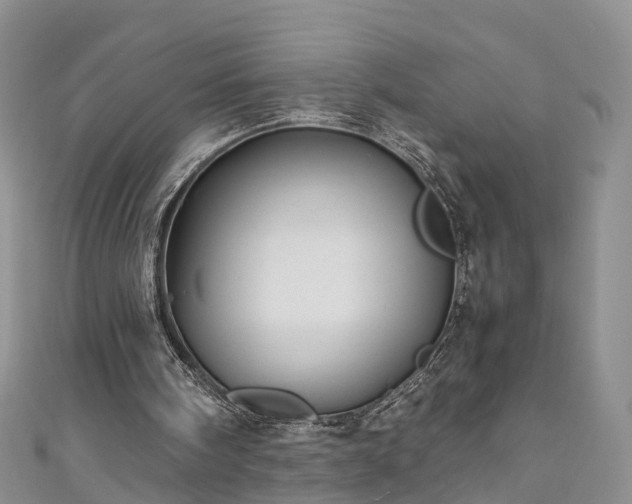 X0000110950098200906261329