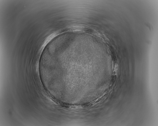 X0000110950099200906261329