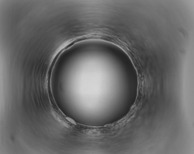 X0000110950100200906261329