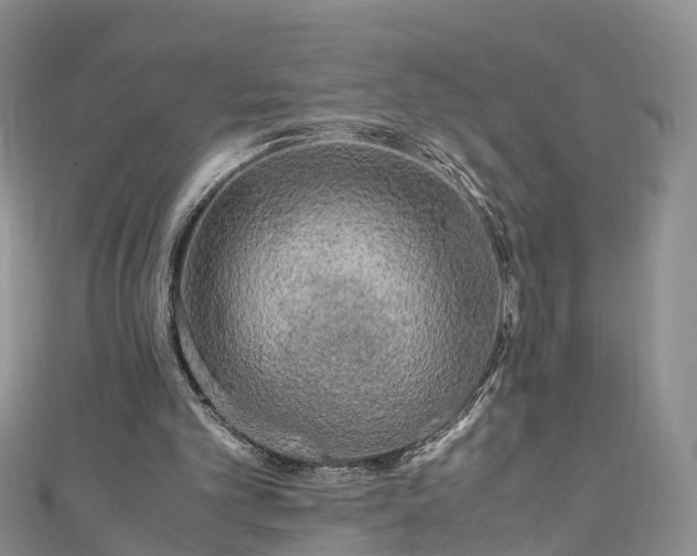 X0000110950101200906261329