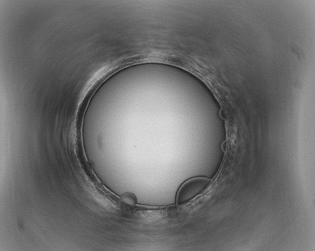 X0000110950102200906261329