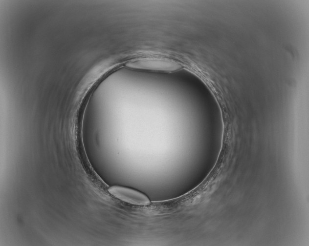 X0000110950103200906261329