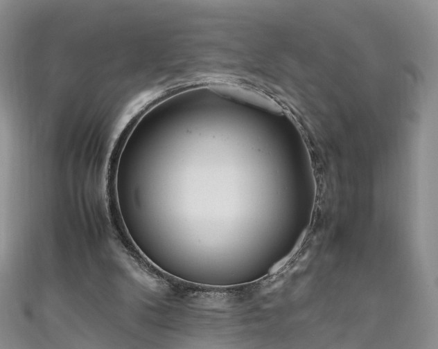 X0000110950104200906261329