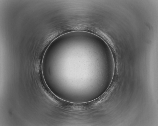 X0000110950105200906261329