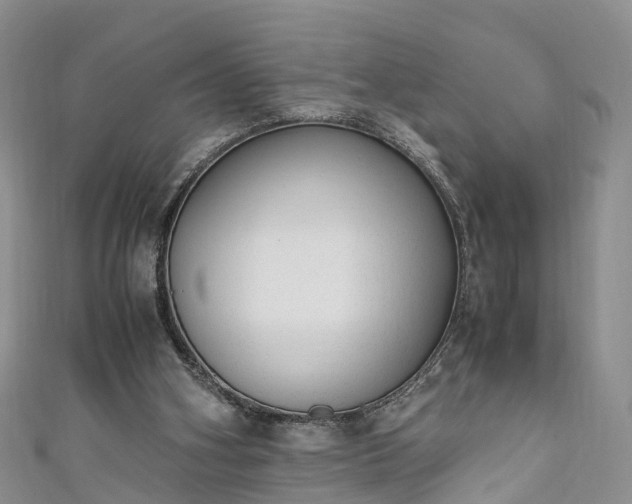 X0000110950106200906261329