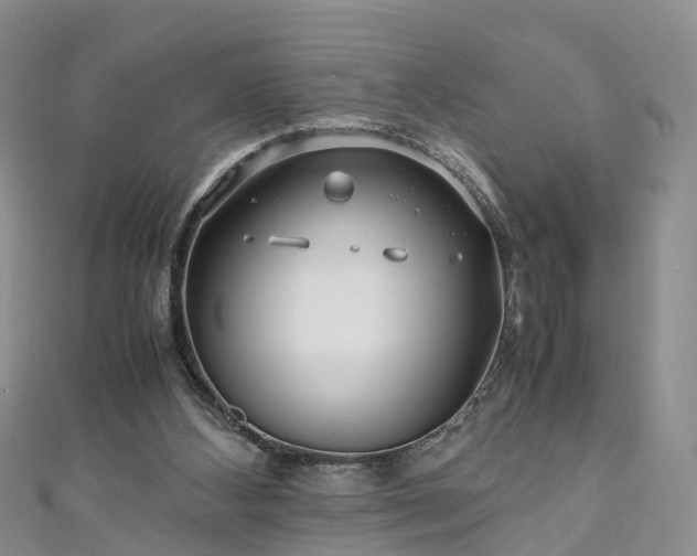 X0000110950108200906261329