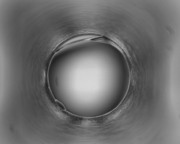 X0000110950109200906261329