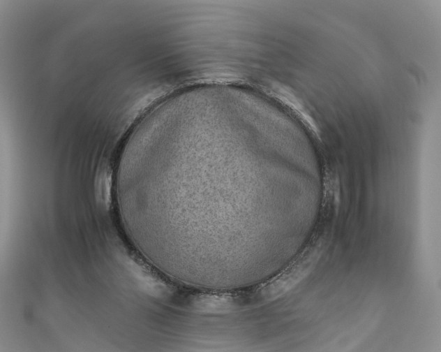 X0000110950110200906261329