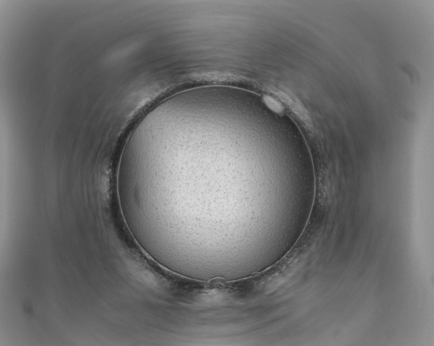 X0000110950111200906261329