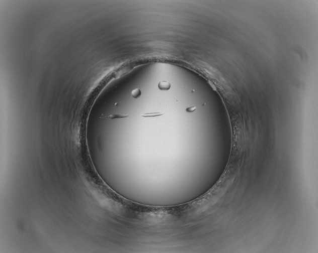 X0000110950112200906261329