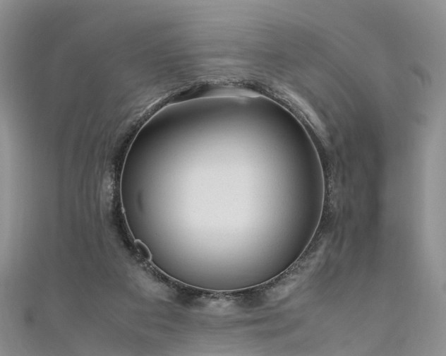 X0000110950113200906261329