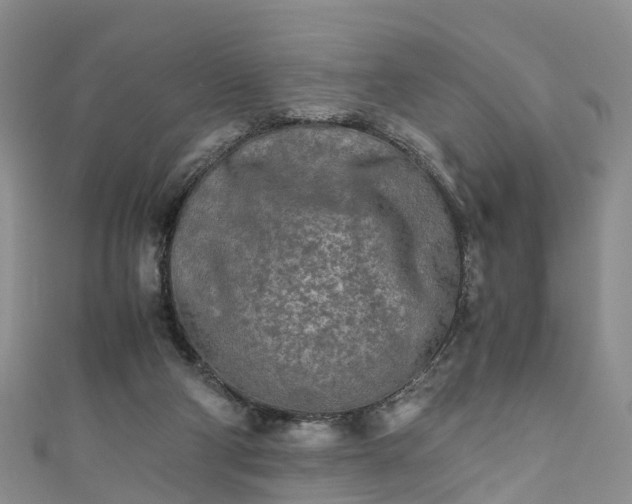 X0000110950114200906261329