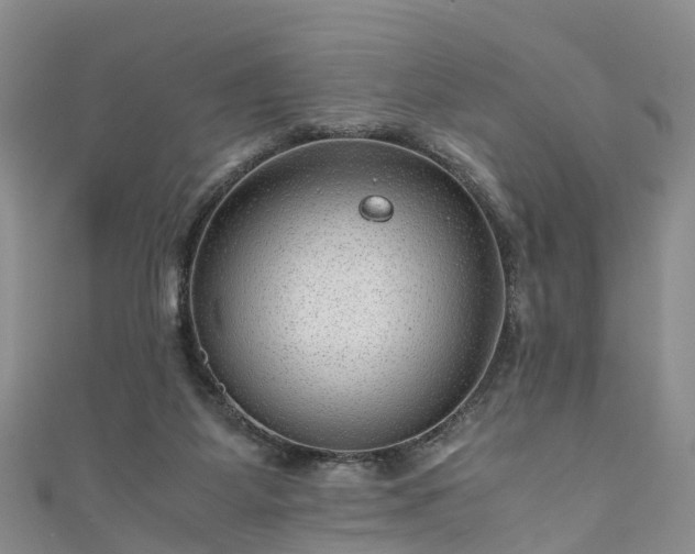 X0000110950115200906261329