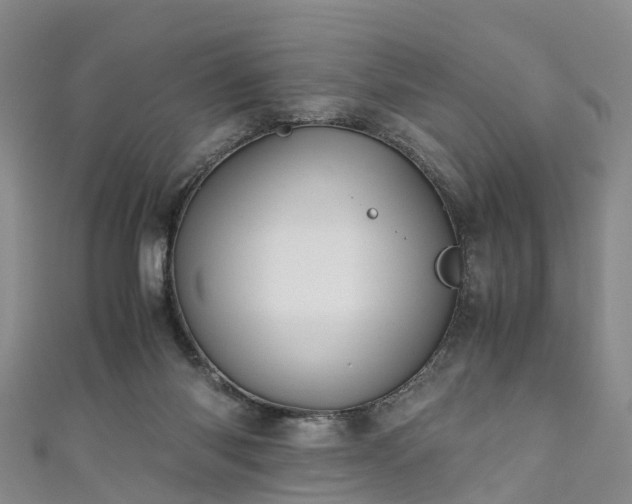 X0000110950118200906261329