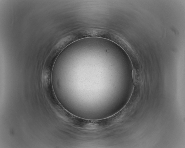 X0000110950119200906261329