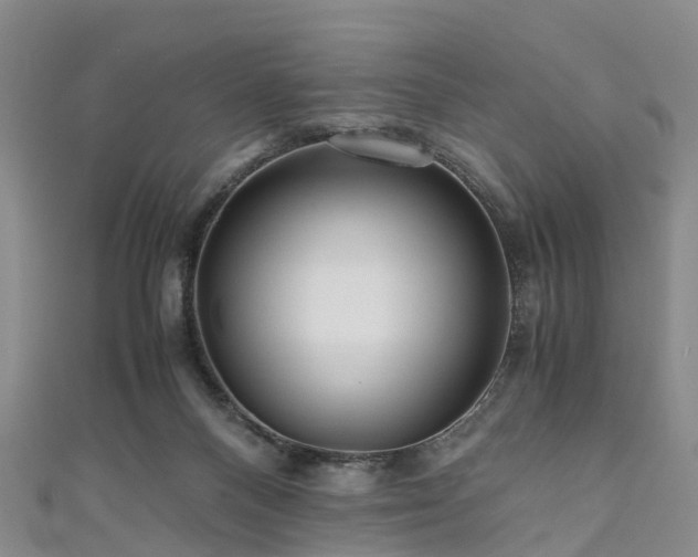 X0000110950120200906261329