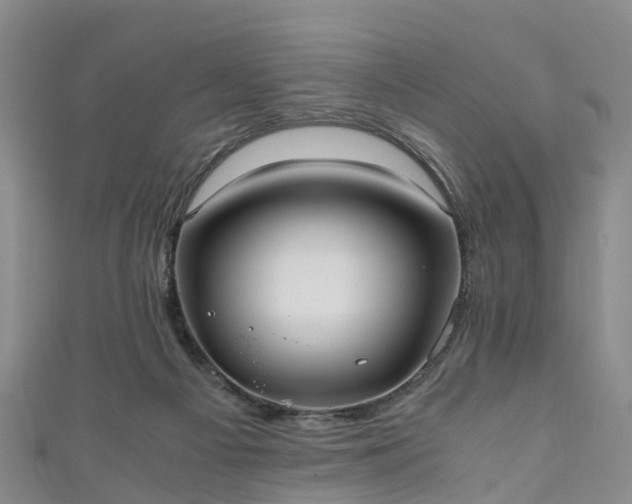 X0000110950121200906261328