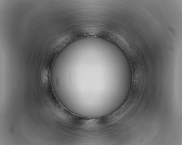 X0000110950122200906261328