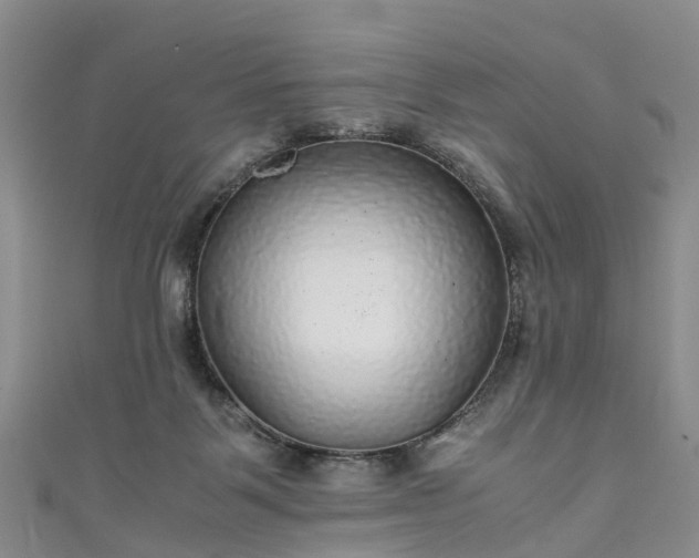 X0000110950123200906261328