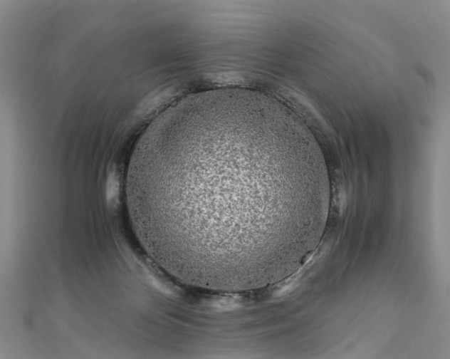 X0000110950124200906261328