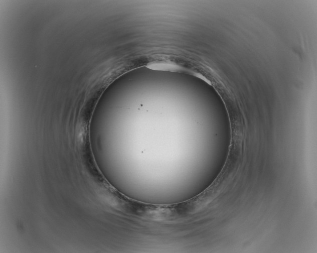 X0000110950125200906261328