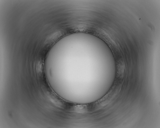 X0000110950126200906261328