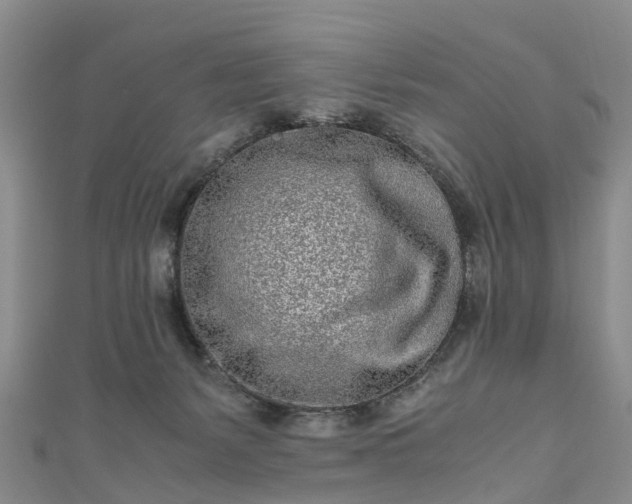 X0000110950127200906261328