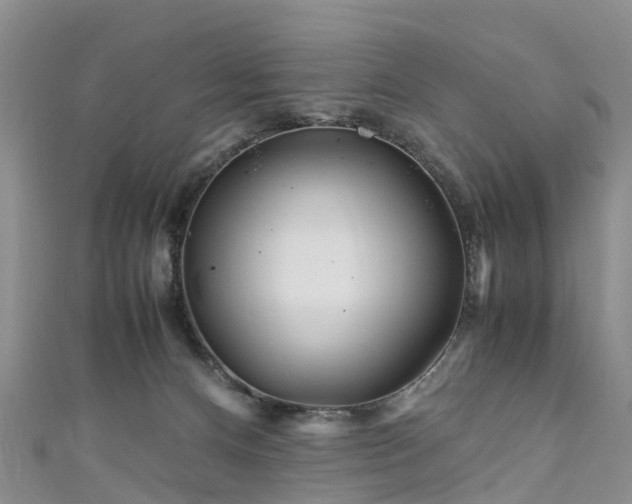 X0000110950128200906261328