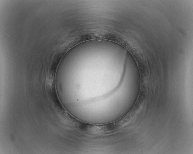 X0000110950129200906261328