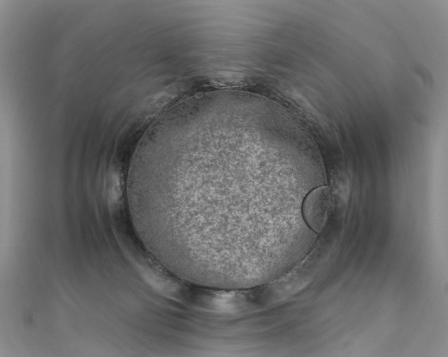 X0000110950130200906261328