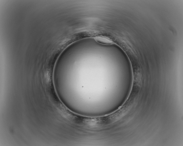 X0000110950131200906261328