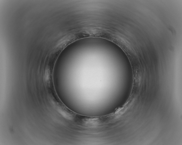 X0000110950132200906261328