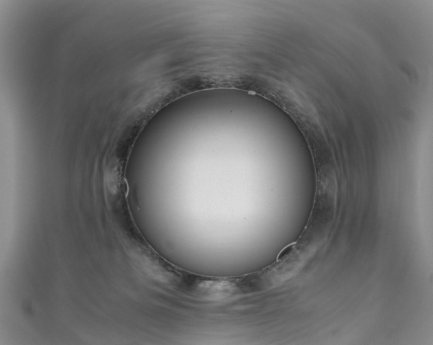 X0000110950133200906261328