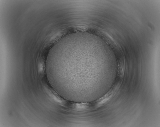 X0000110950134200906261328