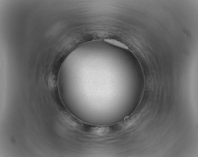 X0000110950135200906261328