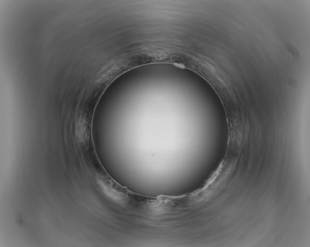 X0000110950136200906261328