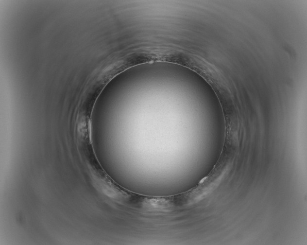 X0000110950137200906261328